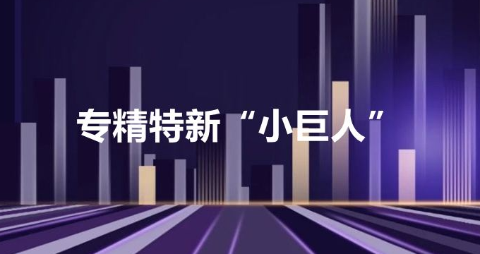 4762家！國家級專精特新“小巨人”企業(yè)名單分析匯總！