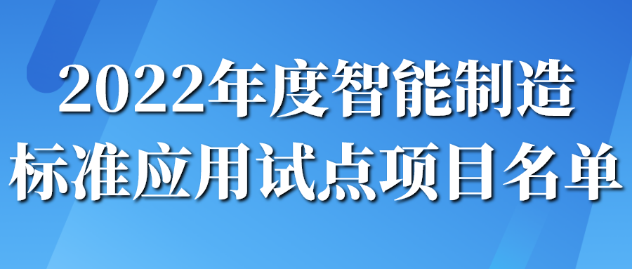 2022年度智能制造標(biāo)準(zhǔn)應(yīng)用試點(diǎn)項(xiàng)目名單