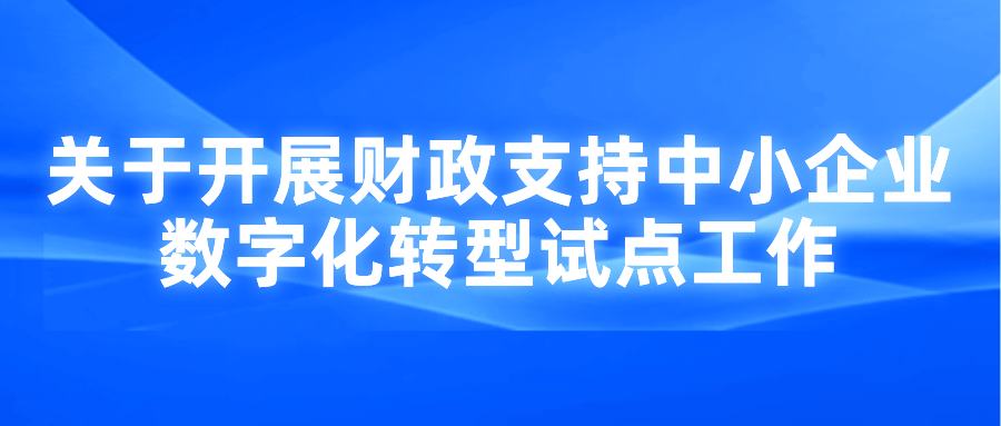 關(guān)于開展財(cái)政支持中小企業(yè)省級數(shù)字化轉(zhuǎn)型試點(diǎn)工作申報(bào)通知