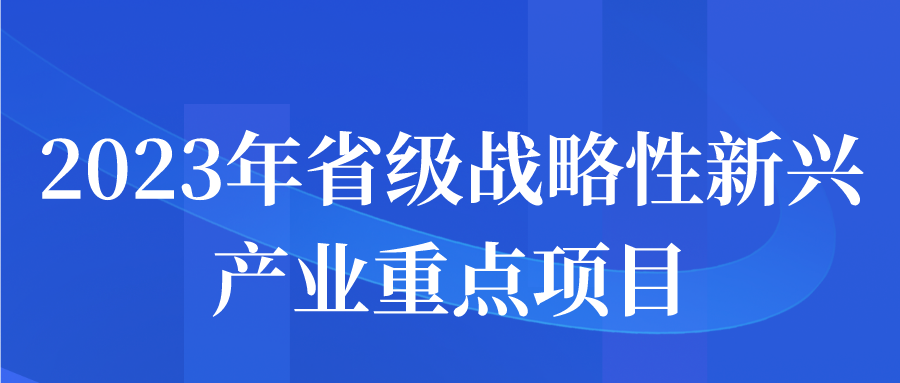 2023年省級戰(zhàn)略性新興產業(yè)重點項目申報指南