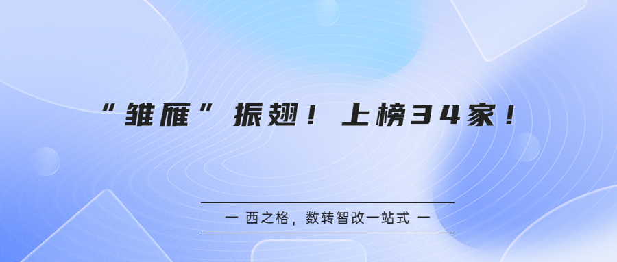 “雛雁”振翅！上榜34家！