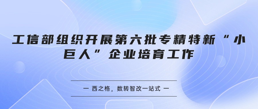 關(guān)于開展第六批專精特新“小巨人”企業(yè)培育和第三批專精特新“小巨人”企業(yè)復(fù)核工作的通知